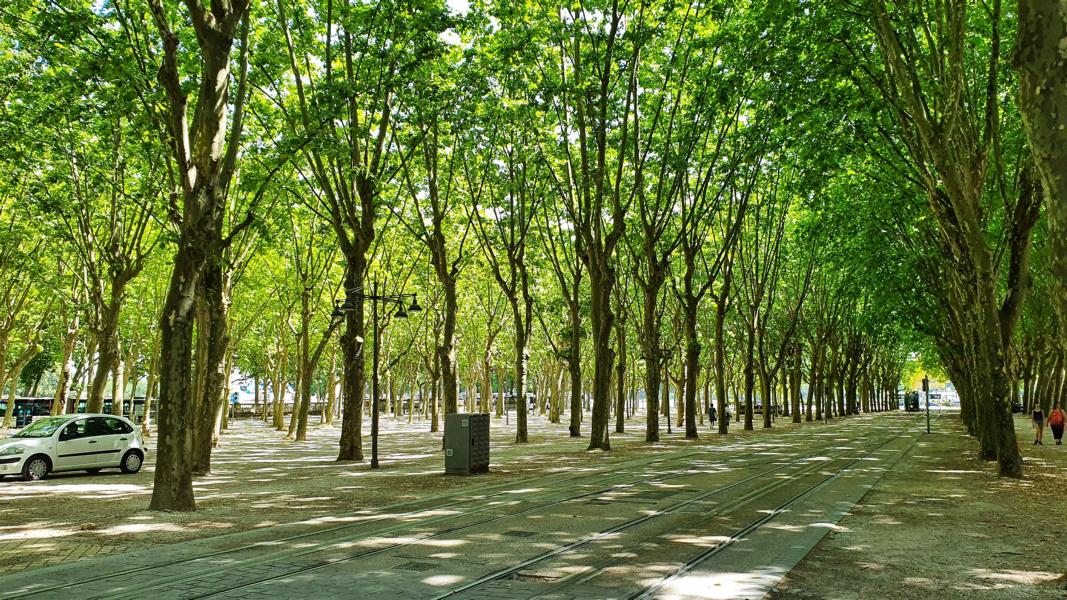 Grüne Oase in Bordeaux