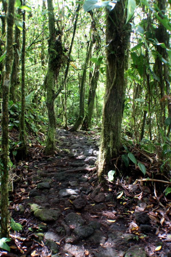 Mit Lavagestein angelegter Wanderweg.
