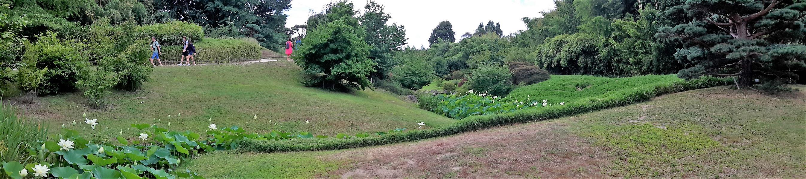 Flusslauf im Japanischen Garten, der Lotuspflanzen gedeihen lässt.