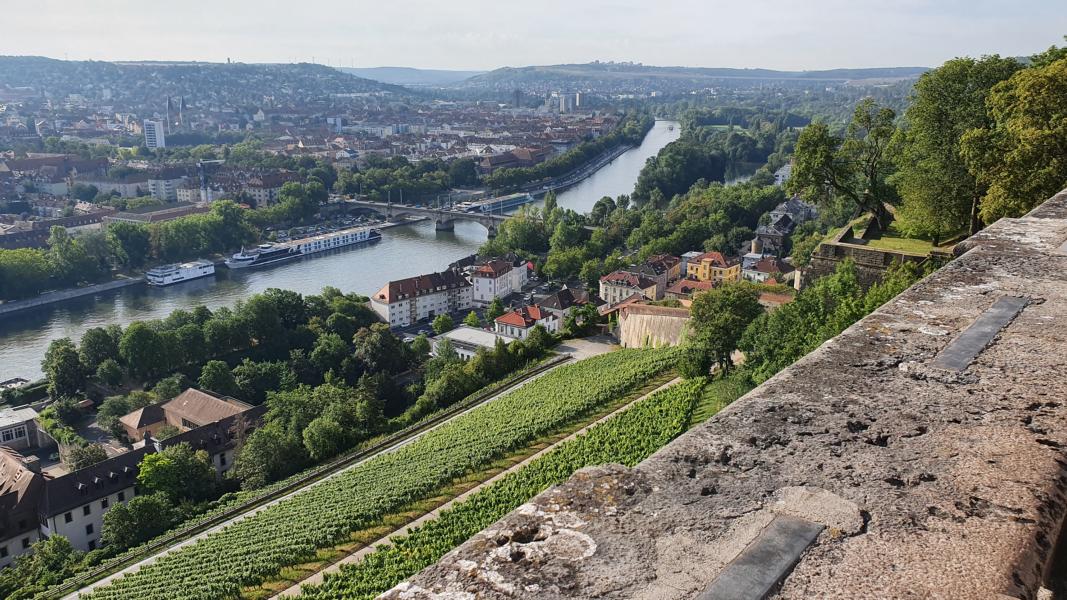 Blick auf die Weinterrassen an der Burg