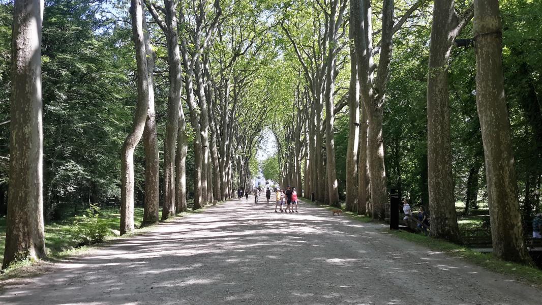 Zugang zum Chateau de Chenonceau