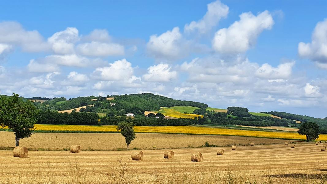 Landschaft um Lautrec