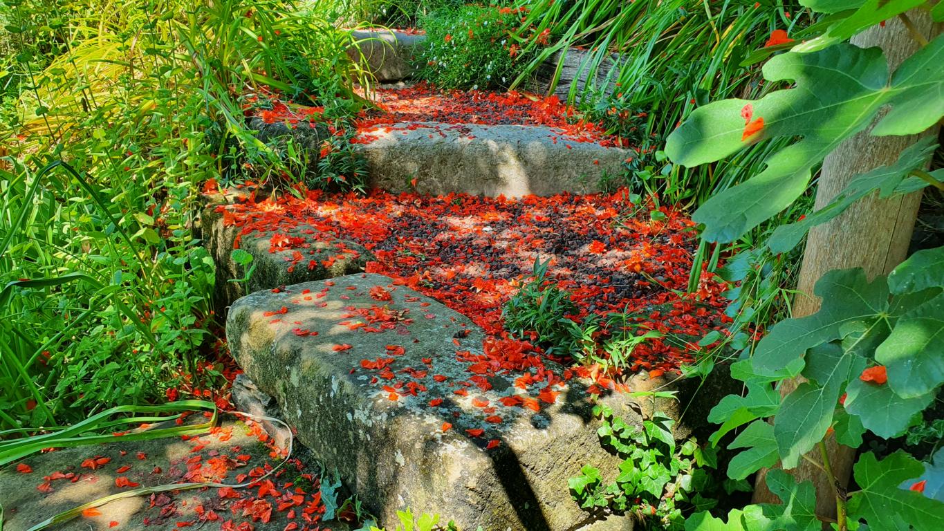 Jardin Zen