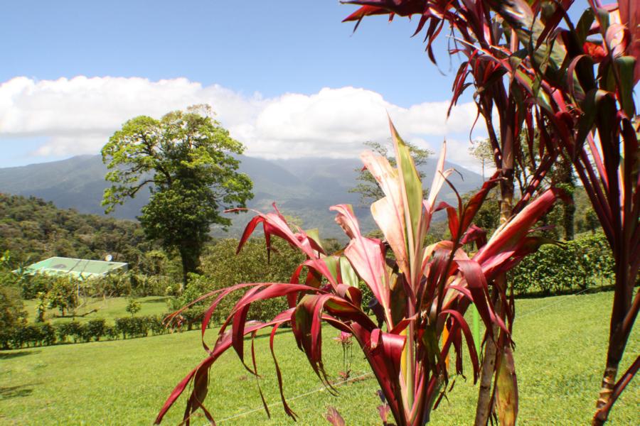 Beim Mittagessen und Kaffeetrinken in  der Lodge hatten wir diesen Blick in die wenig besiedelte Landschaft.