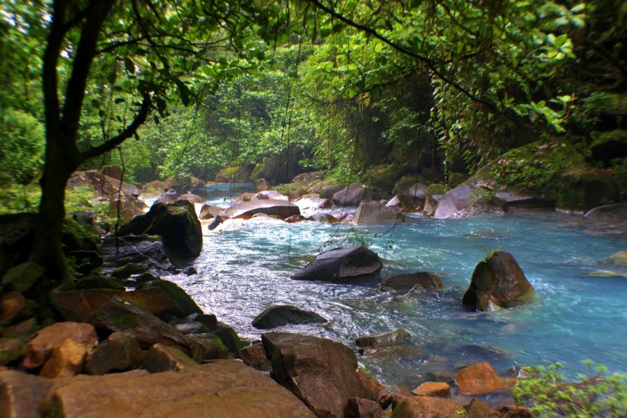 Der Rio Celeste schlängelt sich als ?Blaues Band