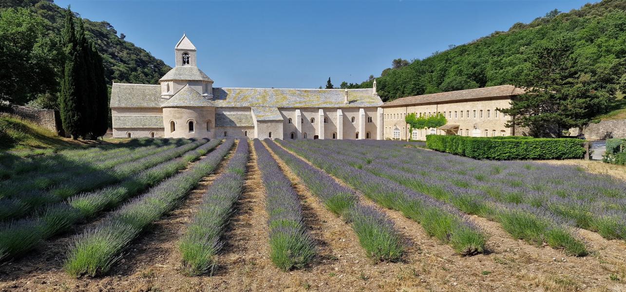 Notre- Dame de Senanque