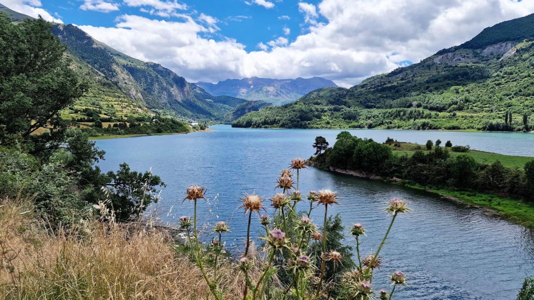 Presa de Lanuza