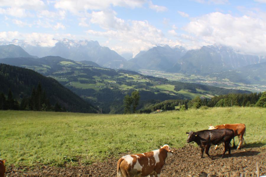 Besuch der Alm von Familie Brunnauer mit herrlichem Blick ins Salzburger Land.