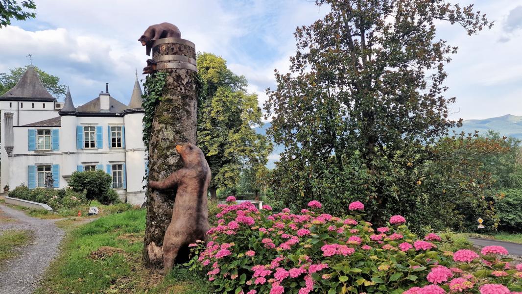 Chateau de Druon