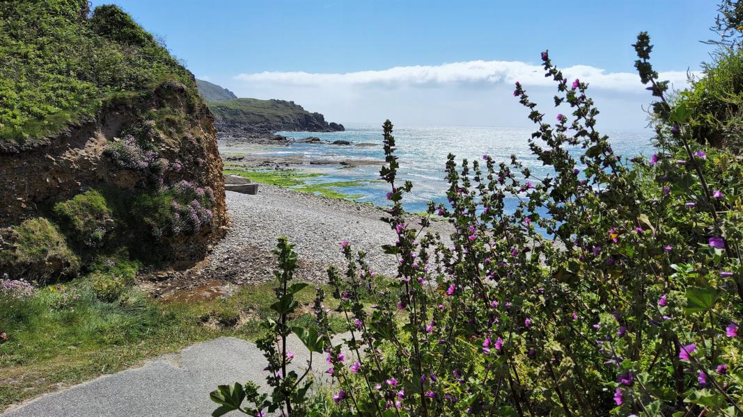 Zugang zur Bucht Anse du Culeron