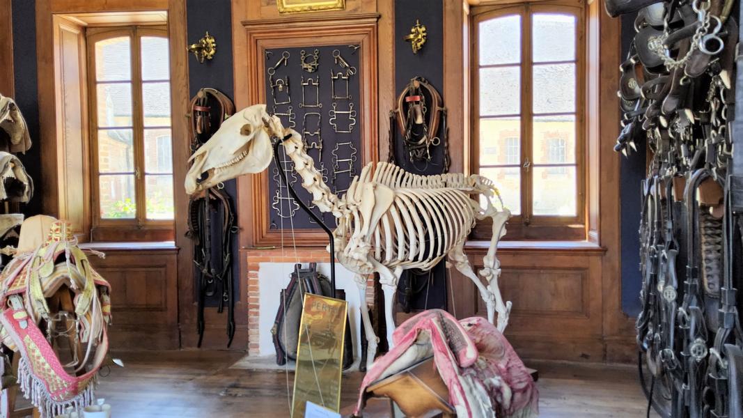 Sattelkammer im  Gestüt Haras du Pin