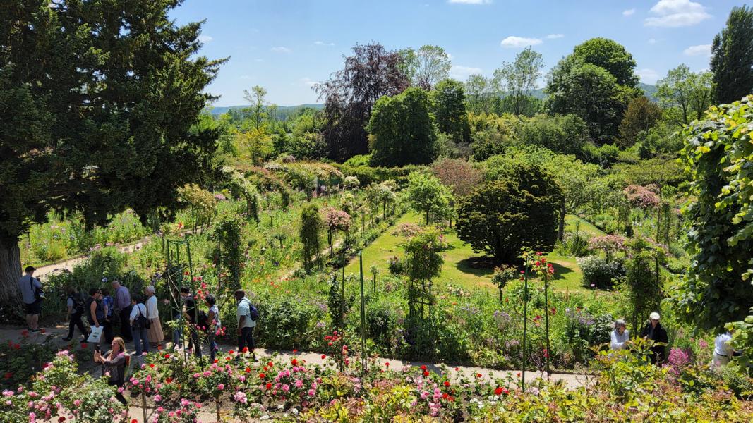 Blick vom Wohnzimmer in den Garten
