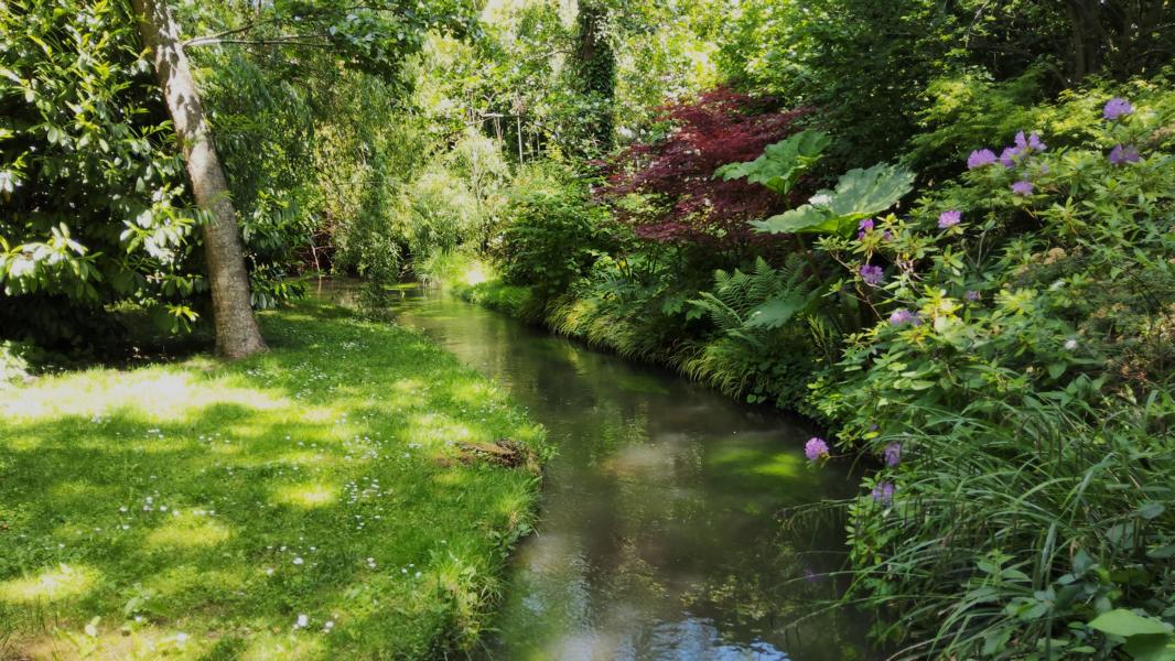 Flüsschen Epte im Gelände des Wassergartens von Monet