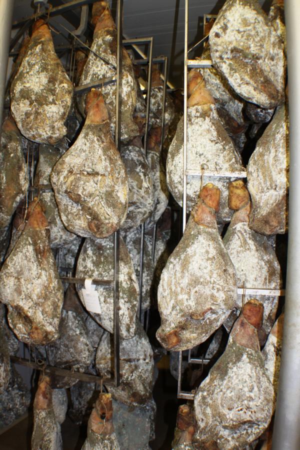 Zwischen Bale und Pula besuchten wir eine Gastwirtschaft, wo noch luftgetrockneter Schinken selbst hergestellt wird.