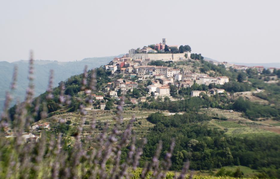 Auf einer Bergkuppe gelegen, ist der Ort Motovun schon von weitem sichtbar. 