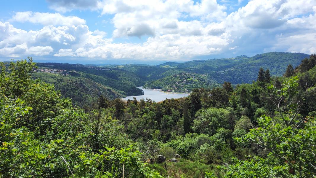 Blick auf die Loire