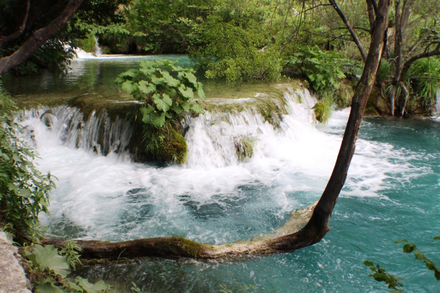 Aufgrund der Eigenheiten des Karstgesteins versickern die Flüsse in das Gestein und bahnen sich dort ihre Wege weiter. Wo der Fluss auf härteres Gestein trifft, treten die Wassermassen der Karstflüsse wieder an die Erdoberfläche, was auch bei den Plitvicer Seen zu beobachten ist.