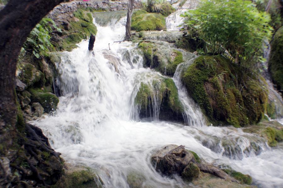 Von großer Bedeutung für das Wasseraufkommen und die Artenvielfalt auf dem Gebiet ist die Beschaffenheit des Terrains. Die bewaldeten Gebirgshänge dienen als Wasserspeicher und sind gleichzeitig Zufluchtsort vieler Tierarten.