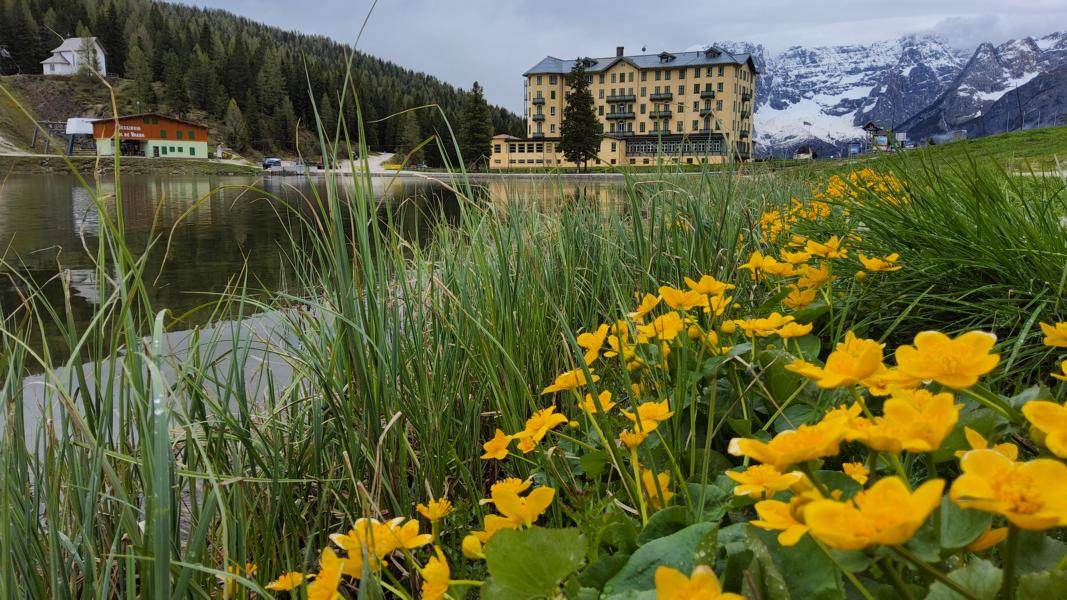 Grand Hotel Misurina