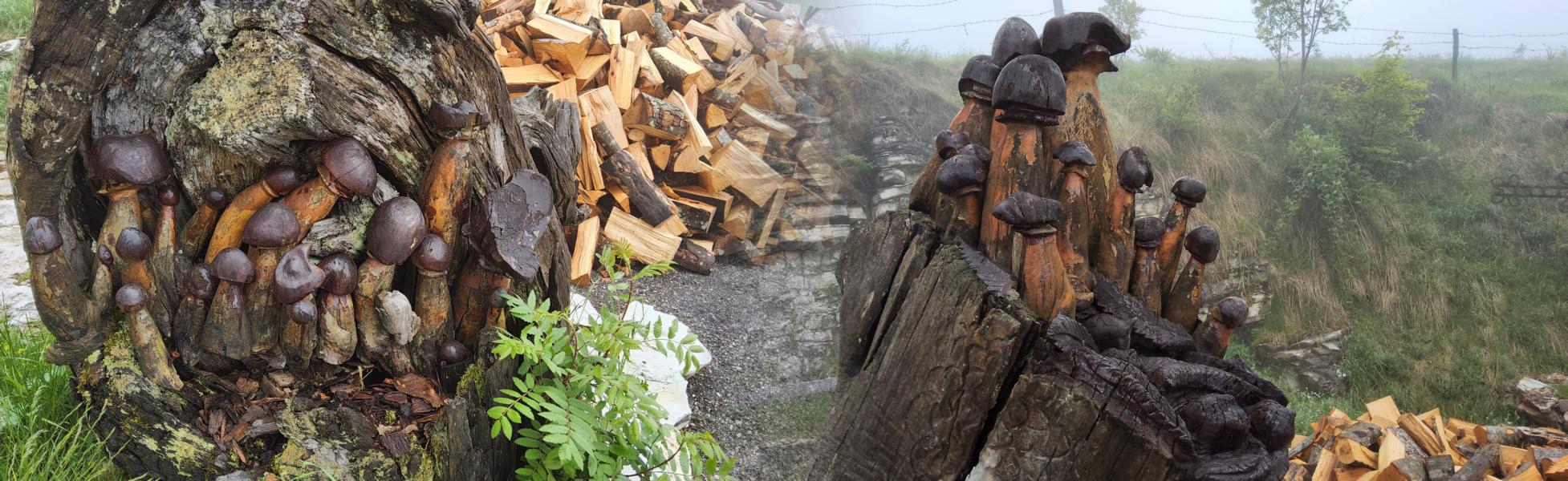 Holzschnitzer waren am Werk