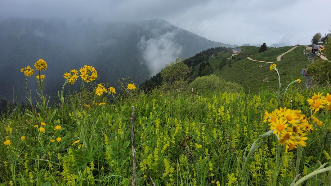 Weiterer Regen begleitete uns 