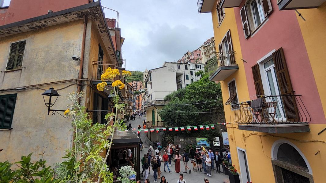 Manorola