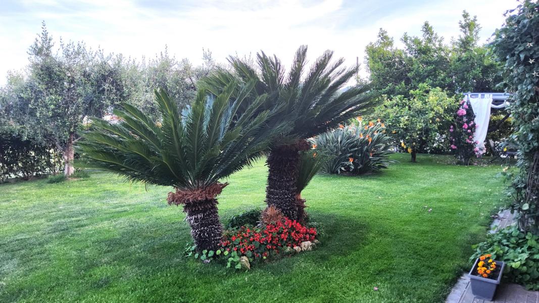 Garten in der Unterkunft Ceriale