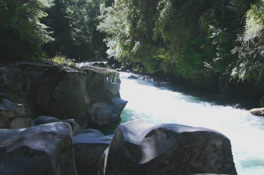 An größeren Steinen beruhigen sich die Wassermengen des Rio Cautin und bilden Aufenthaltsräume der hier vorkommenden Fischarten.