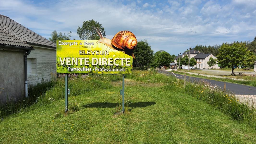 Weinbergschnecken-Aufzuchtstation