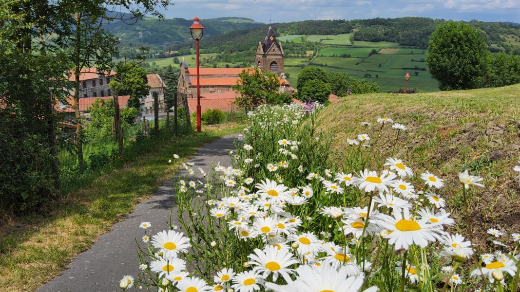 Von Wildblumen gesäumter Weg ins Dorf Polignac