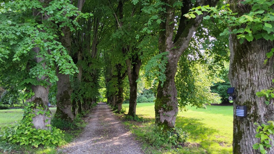 Zufahrt zum Schloss