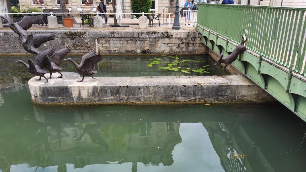 Die Vögel stehen für Leichtigkeit, Aufbruch und die Verbindung zwischen Himmel und Wasser. Sie sind ein Symbol für Freiheit und Natur. 