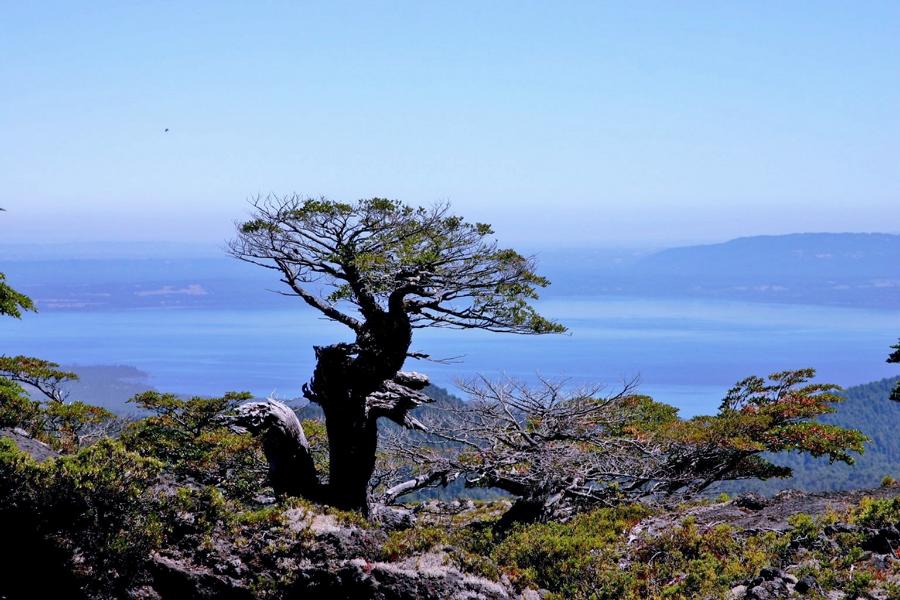 Der Lago Villarrica besitzt eine Fläche von rund 176 km² und eine maximale Tiefe von 165 m. Am See gibt es viele herrliche Strände. 