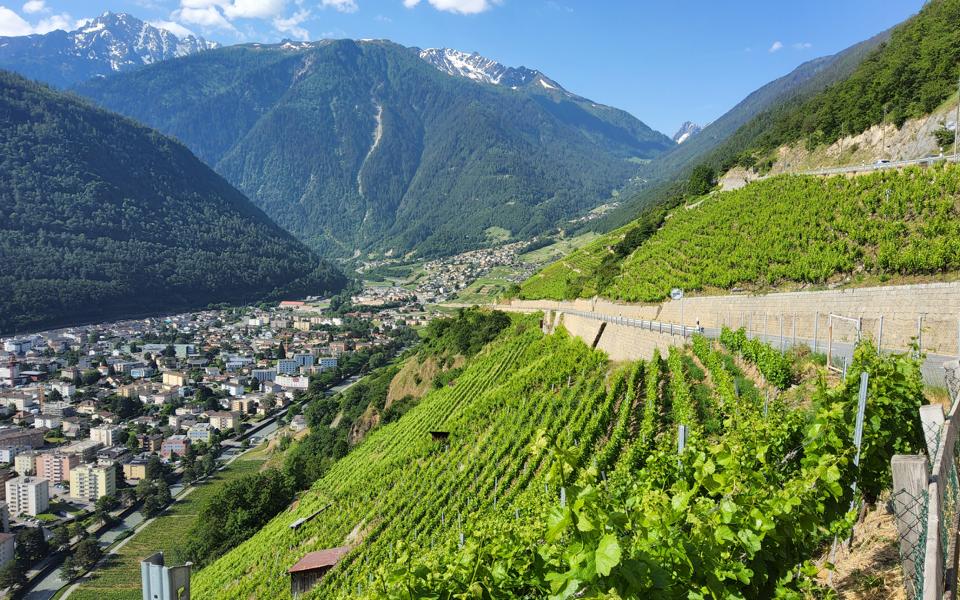 Landschaft um Martigny