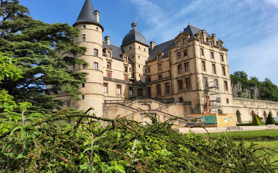 Chateau de Vizelle