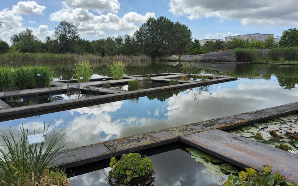 Wasserbecken im Bot. Garten von Bordeaux