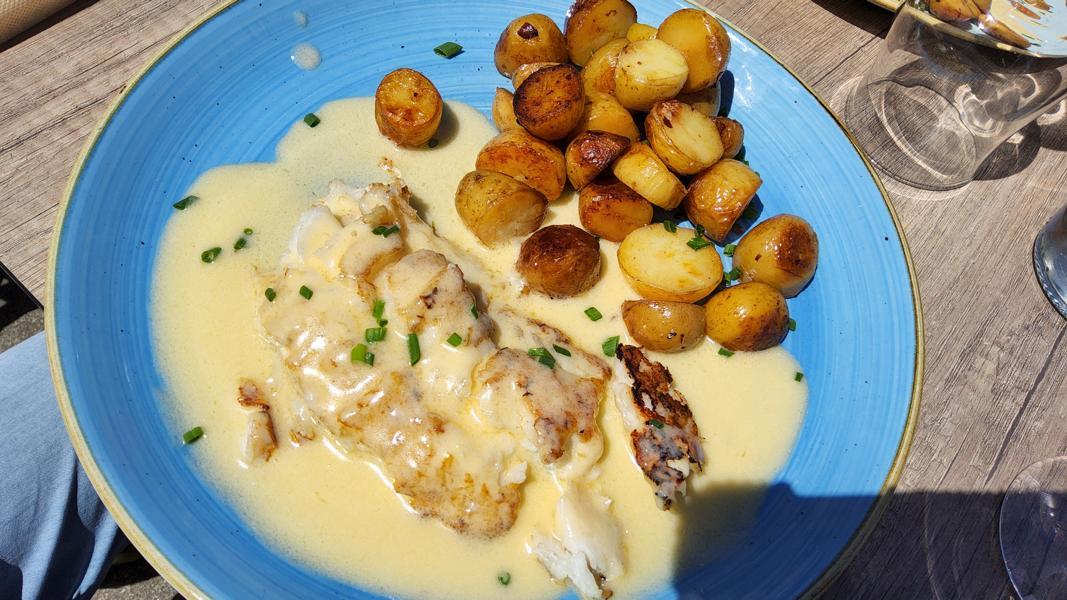 Frischfisch zum Mittag