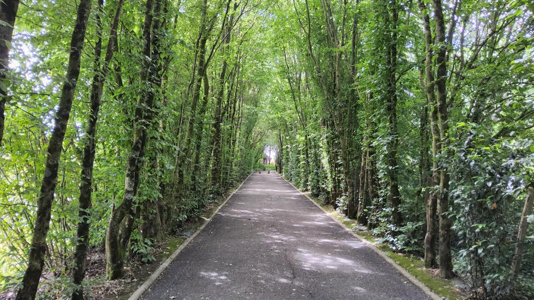 Foto zum Tagebucheintrag