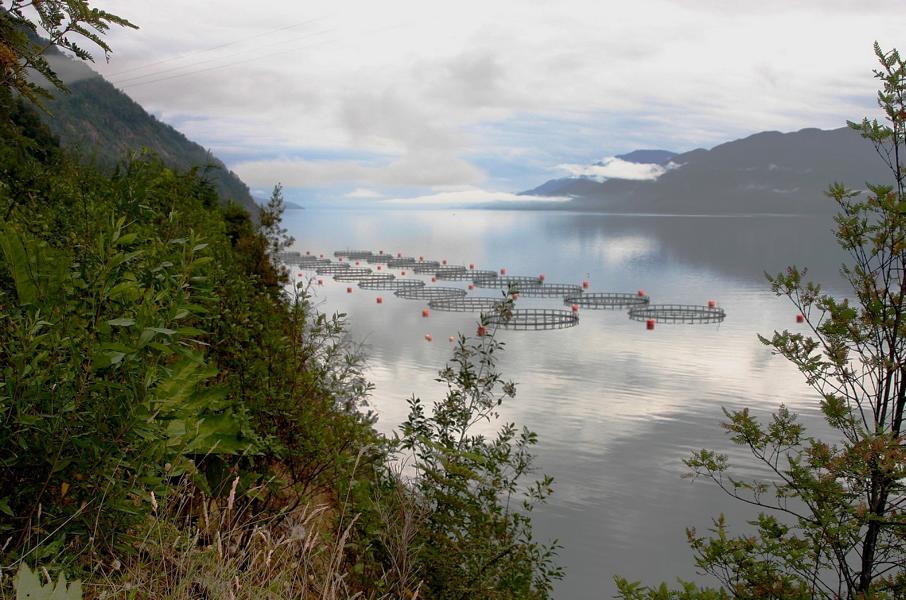 Lachszuchtanlage im Canal Puyuhuapi.