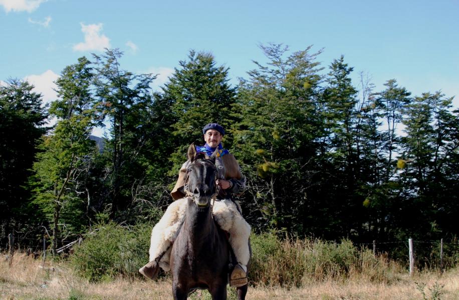 Das Pferd ist in Chile ein wichtiger Helfer in den ländlichen Regionen.