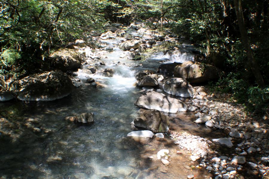 Klare Gebirgsbäche durchziehen den Nationalpark Vulkan Rincón de la Vieja und verschaffen in seiner Nähe den Besuchern Abkühlung.