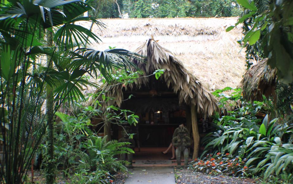 Das schöne kleine Boutiquehotel Cariblue liegt  ca. 1,5 km südlich von Puerto Viejo de Limón und 150m vom Strand entfernt, der als einer der besten Surfstrände der Gegend bekannt ist. Die Umgebung ist grün und beherbergt die typische Flora und Fauna. Das Hotel steht unter italienischer Leitung.