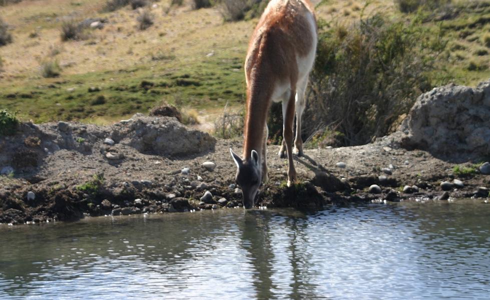 Sauberes Trinkwasser gibt es im NP in Hülle und Fülle.