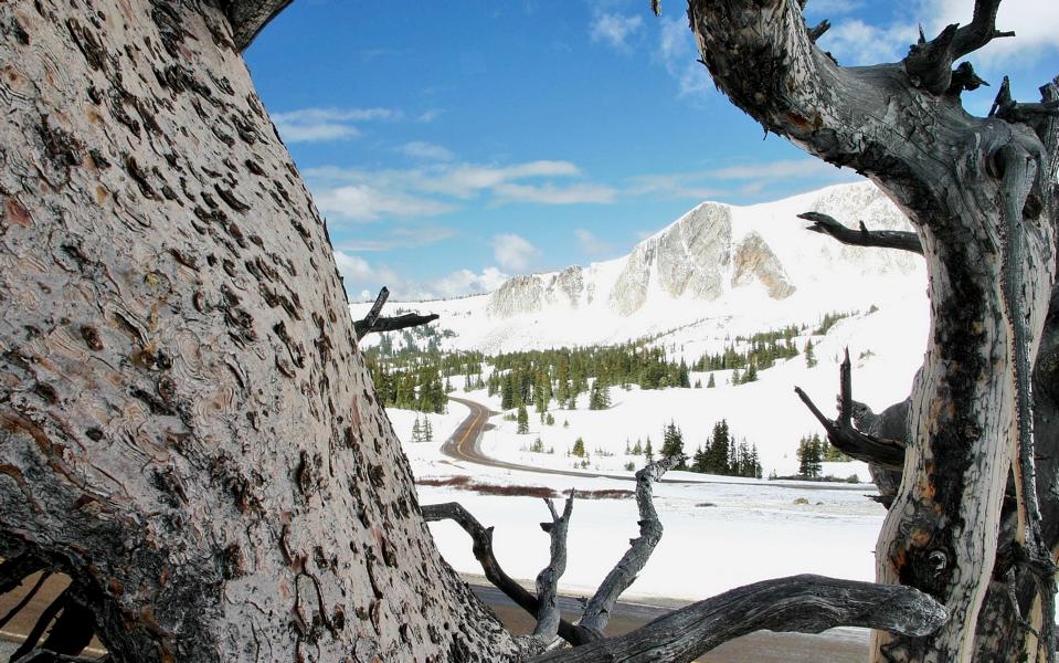 Zwischen Loveland und Livermore hatte die Landschaft schon eine geschlossene Schneedecke. 