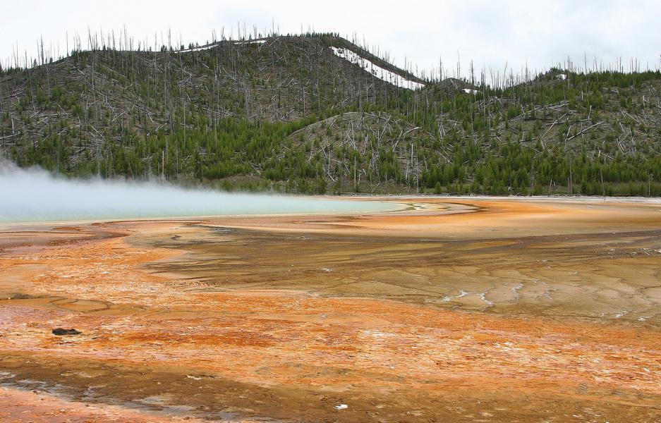 1988 gab es zuletzt einen großen Waldbrand, der beinahe 4000 km² des Parks erfasste: 2300 km² Wald verbrannten ganz, auf 1450 km² lediglich das Unterholz.  Die Auswirkungen dieses Brandes waren noch an vielen Stellen deutlich zu sehen.
