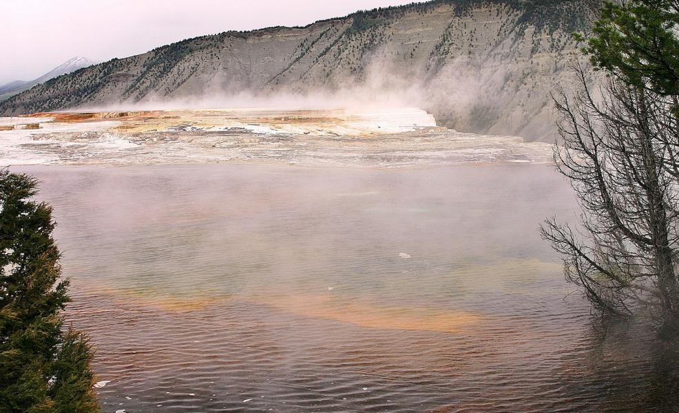 In den entstehenden flachen Becken siedeln sich Algen und Bakterien an; je nach Temperatur des Wassers haben diese unterschiedliche Farben. Aufgrund der immer neuen Ablagerungen wechselt die Fließrichtung des Wassers und damit die Temperatur und so die Farben - von Weiß bis Blau, Braun, Grün, Gelb, Orange oder Rot - der Terrassen von Jahr zu Jahr.