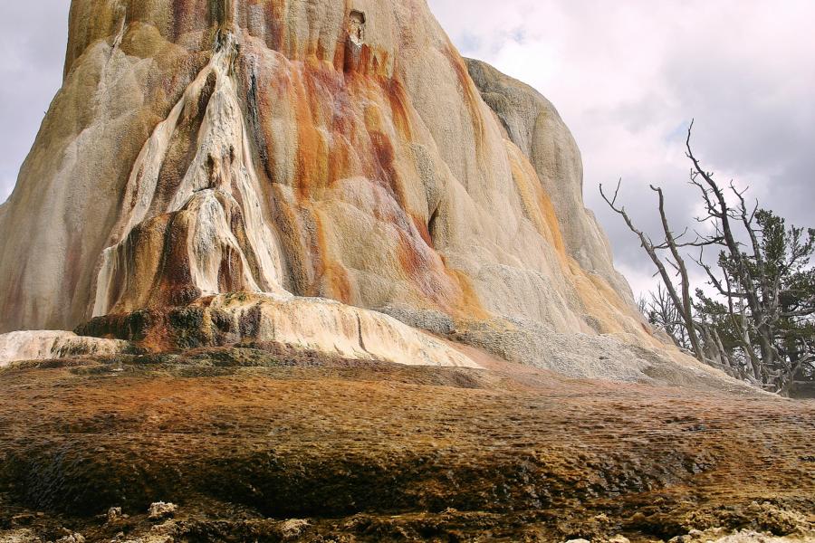 Bizarre Formen dekorieren das von Kalk und eingelagerten Sedimenten überzogene Gestein.
