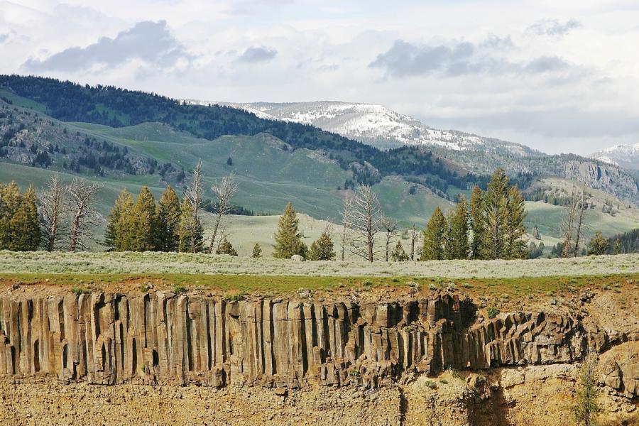 Der Yellowstone River hat am Roosevelt Tower einen Canyon in die Landschaft gefräst und dabei den erkalteten Lavastrom angeschnitten. Am Rand des Canyon sieht man eine Basaltschicht aus klassischen Basaltsäulen.