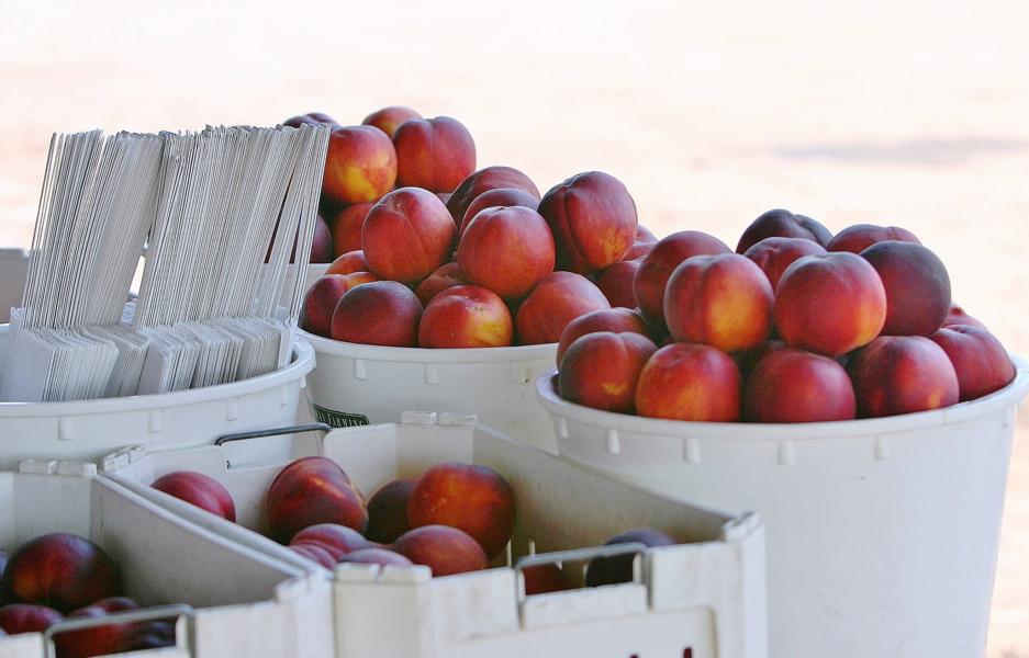 Wir deckten uns für die Tagesexkursion mit Obst, das an Straßenständen angeboten wurde, ein.