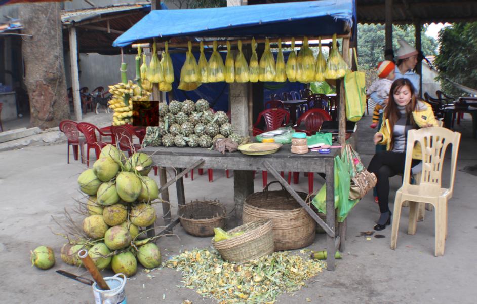 Ein Abschnitt der viel befahrenen Hauptstraße zwischen Hanoi und Saigon, die wir nutzten, heißt Ananasstraße, wo wir einen zweiten Stopp einlegten.